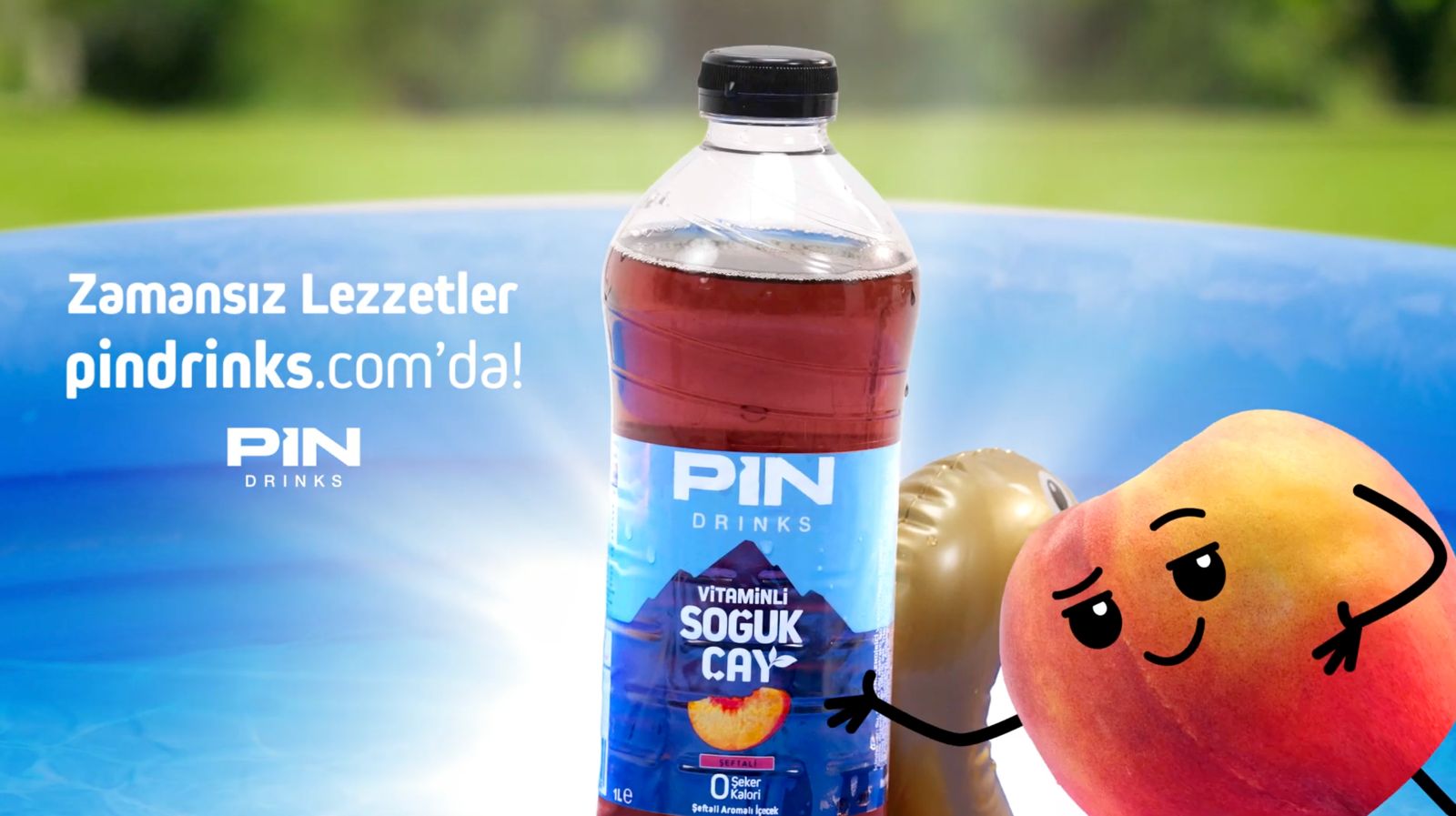 Pinlenen Günler