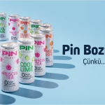 Pin Drinks Neden Bozulur?