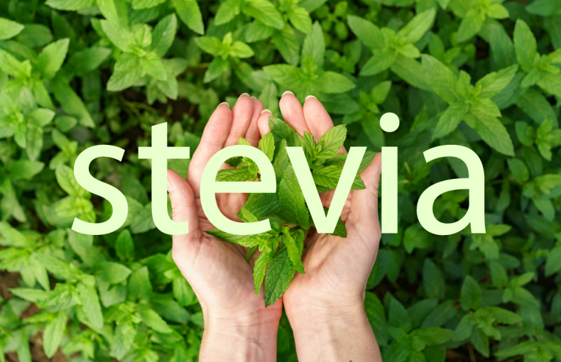 Stevia (Şeker Otu) Hakkında Bilmeniz Gerekenler